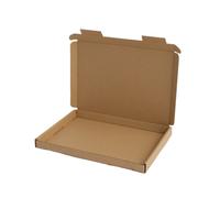 50 Grossbrief 230 X 160 X 20 Mm Cartoni Imballaggio Maxibrief Scatole DIN A5
