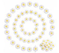 50 Mini Margherite in Resina Fondo Piatto per il Fai da Te e Decorazioni | Ideali per Scrapbooking, Bijoux Fatti a Mano, Cover Telefono, Barretta Capelli, Incollaggio Facile e Decorazione Torte