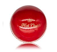 50 Not Out Cricket Ball - 50th Bitrhday Cricket Gift