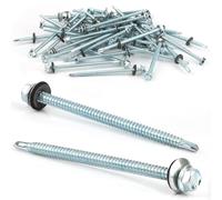 50 pcs Viti Autofilettanti per Metallo 6,3 X 100 mm Viti Autoperforanti Viti Autoforanti Cappellotti per Lamiere Grecate Viti Esagonali Con Rondella di Tenuta Zincata in Acciaio Inox (Argento)