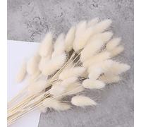 50 pezzi 45cm Lagurus Bunny Codes Pampas Grass Decor Decor Bianco Rosa Rabbit Artificial Tails Secchi fiori bouquet per la casa Decor Boho Decor Room Della Camera da letto Decor (50Pcs White)