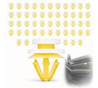 50 Pezzi Clip Pannello Porta compatibili con Renault ref. 7703077250, Clips Rivestimento Interno Auto, Graffe Fissaggio Portiera per Clio Megane Scenic Laguna Kangoo Master Twingo Ricambio Kit
