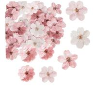 50 Pezzi di Fiore Cupcake Toppers commestibile Blossom Cupcake Toppers impegno da Sposa Festa di Compleanno Bevande da Topper Anniversario Decorazioni per Feste Forniture Fiore, FL