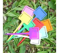 50 Pezzi Etichetta per Piante in PP, Inseribile nel Terreno, per Giardino | Classificazione Floreale, Uso in Vasi e Orti, Design Leggero e Portatile, Adatta a Eventi Colore Casuale