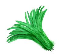 50 pezzi/lotto 40-45 cm piume di coda di gallo accessori copricapo indiano piume di carnevale decorazioni per le feste piume lunghe per artigianato - verde erba