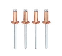 50 Pezzi Rivetti Ciechi 4mm 4,8mm, Anima Acciaio Cappuccio Rame Rivetti Targa per Progetti Fai da Te, Riparazioni Veicoli, Costruzione Barche, Kayak, Installazioni Idrauliche(4.8X16mm)