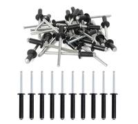 50 Pezzi Rivetti Ciechi in Alluminio con Grande Flangia, Rivetto cieco in alluminio, Rivetti Ciechi in Lega di Alluminio, per Costruzioni, Automobili, Nautica e Mobili (Noir, 4.8mm x 20mm)