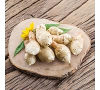 50 pezzi Semi di articapcio di Gerusalemme - dal balcone del giardino, resistenti esotici, semi di ortaggi insalati, ortaggi