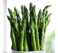 50 Pezzi Semi Di Asparagi Selvatici - Semi Di Asparagi - Semi E Piante Di Ortaggi (Asparagi Officinali) Regali Sostenibili Semi Di Verdure, Semi Di Erbe Da Giardino Acquistare Piante