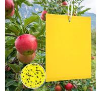 50 Pezzi Trappole Appiccicose Ciliegio, Mosche Dell'Olivo Trappola Per Insetti