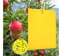 50 Pezzi Trappole Appiccicose Ciliegio, Mosche Dell'olivo Trappola per Insetti per Mosca Bianca, Ulivi Mosca della Frutta, Afidi, Minatori Fogliari, Cicaline (15cm x 20cm)