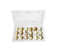 Easy Media 50pz vaschette contenitori da 18 uova di quaglia cad. blister trasparenti in plastica portauova 18 posti