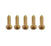 50 Pezzi Viti per Chitarra, Cromate per Chitarra per Chitarra per Le Viti di Montaggio Viti per La Messa a Punto Delle Viti per La Sintonizzazione Elettrica Peg (Oro)