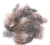50 piume naturali per fai da te, piume decorative pasquali, piume di gallina, piume di faraone, piume decorative colorate, per il fai da te, per carnevale, Halloween, ghirlanda, 4,5 - 10 cm, colore