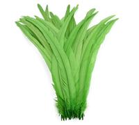 50 piume per artigianato 25-45 cm coda piuma decorazione vestiti carnevale decorazione matrimonio frutta En8 10-12 pollici 25-30 cm
