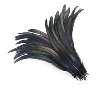 50 Pz/lotto Piume Colorate Coda di Gallo Accessori Artigianato Festa di Nozze Carnevale Decorazione Domestica Nero 25-30cm 10-12 pollici