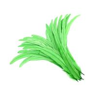 50 Pz/lotto Piume Colorate Coda di Gallo Accessori Artigianato Festa di Nozze Carnevale Decorazione Domestica Frutta EN8 25-30cm 10-12 pollici