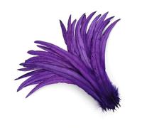 50 Pz/lotto Piume Colorate Coda di Gallo Accessori Artigianato Festa di Nozze Carnevale Decorazione della Casa Viola 2 25-30cm 10-12 pollici
