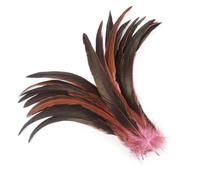 50 Pz/lotto Piume Colorate Coda di Gallo Accessori Artigianato Festa di Nozze Carnevale Decorazione Domestica Pnnrk 25-30cm 10-12 pollici