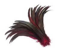 50 Pz/lotto Piume Colorate Coda di Gallo Accessori Artigianato Festa di Nozze Carnevale Decorazione Domestica Vino Rosso 25-30cm 10-12 pollici