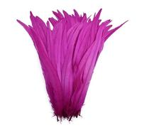 50 Pz/lotto Piume di Gallo for la Decorazione Artigianato Nero Bianco Grande Piuma di Fagiano Gallo Pollo Accessori Da Sposa(Rose,10-12inch 25-30cm)