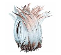 50 Pz/lotto Piume di Gallo for la Decorazione Artigianato Nero Bianco Grande Piuma di Fagiano Gallo Pollo Accessori Da Sposa(Spray Silver,12-14inch 30-35cm)