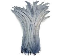 50 pz/lotto piume di gallo per fai da te artigianato costume e Halloween carnevale accessori fai da te forniture artigianali grigio 10-12 pollici 25-30 cm