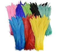 50 pz/lotto piume di gallo per fai da te artigianato costume e Halloween Carnevale accessori fai da te forniture artigianali multicolore 10-12 pollici 25-30cm