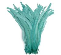 50 pz/lotto piume di gallo per fai da te artigianato costume e Halloween carnevale accessori fai da te forniture artigianali menta EN8 10-12 pollici 25-30 cm