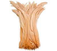 50 pz/lotto piume di gallo per fai da te artigianato costume e Halloween Carnevale accessori fai da te forniture artigianali champagne 10-12 pollici 25-30 cm