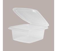 50 Pz Vaschetta + Coperchio PP 1500cc per Uso Caldo Microonde