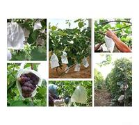 50 sacchetti di protezione per frutta per giardino, pesche, pere, cachi, aranci per ridurre i danni degli uccelli, il rischio di gelo e secchezza (250 x 300 mm)