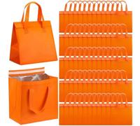 50 sacchetti isolati per la consegna di alimenti caldi e freddi, frutti di mare, pizza, caffè e altro ancora, sacchetti termici ecologici (arancione, 50 pezzi)