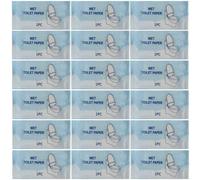 50 salviette umidificate di lusso confezionate singolarmente e delicate sulla pelle; salviette umidificate per la cura personale degli adulti; salviette detergenti da viaggio per la pelle, per casa