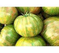 50 Semi di Big Zebra Pomodori Bi-Colour Seeds ONLY