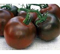 50 SEMI DI POMODORO DI BLACK PRINCE Seeds ONLY