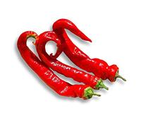 50 semi - peperone morbido molto lungo delle lande o peperoncino d'Inghilterra.