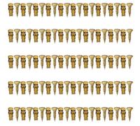 50 set tasselli ad espansione e viti tasselli a muro per cerniere per legno, piastrelle e pietra, ferro zincato oro, parete 6×14 mm