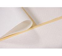 50 TOVAGLIE DI CARTA BIANCHE 100X100 RISTO TOVAGLIA RESISTENTE MADE IN ITALY +