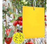 50 Trappole Appiccicose 20x15cm Double Face per Parassiti Delle Piante Afidi