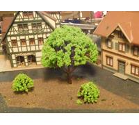 50 Verde Chiaro Alberi, Je 25 Pezzo 30 E 80 MM Alto