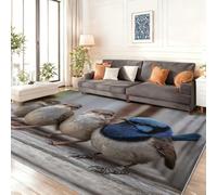 50 x 80 cm Tappeto Naturalismo Uccelli Assi Di Legno Antiscivolo Facile da Pulire Tappeto, Marrone Morbido Pelo Corto Lavabile Fluffy Tappeti per Salotto, Camera Letto, Sala Pranzo, Casa