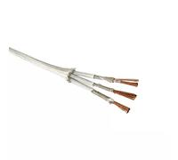 500 ° Cavo Ad Alta Temperatura 2 Conduttori 3 Conduttori Filo Resistente Al Calore Filo Intrecciato In Mica Ignifugo 0.5mm 0.75mm 1.0mm 1.5mm 2.5mm 4.0mm 1 pz ( Color : 3 core , Size : 18 AWG 0.75mm )
