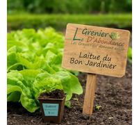 500 Graines à semer - Le Grenier d'Abondance - LAITUE POMMEE de Printemps et d'été - Du bon Jardinier