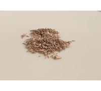 500 Graines à semer - Le Grenier d'Abondance - LAITUE POMMEE de Printemps et d'été - Gotte Jaune d'Or