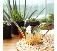 500 ML Bollitore Per Annaffiare in Acciaio Inossidabile Annaffiatoio