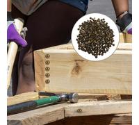 500 Pcs Chiodo Per Cappello Retrò Spilli Tappezzeria Sedie Pin Spinta Pesante