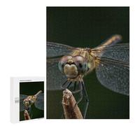 500 PCS Puzzle Per Adolescenti Dragonfly Close-Up on Twig Puzzle Per Adulti Gioco Per Famiglie Un'opera D'arte Regali Unici Per Compleanno E Natale 500 PCS
