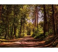 500 Pezzi di Puzzle per Il Regalo di Giocattoli Educativi per Adolescenti - Alberi stradali vicolo 52x38cm