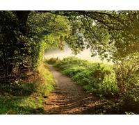 500 Pezzi di Puzzle per Il Regalo di Giocattoli Educativi per Adolescenti - Percorso foreste alberi 52x38cm